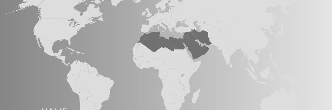 North Africa and Middle East Research Network
